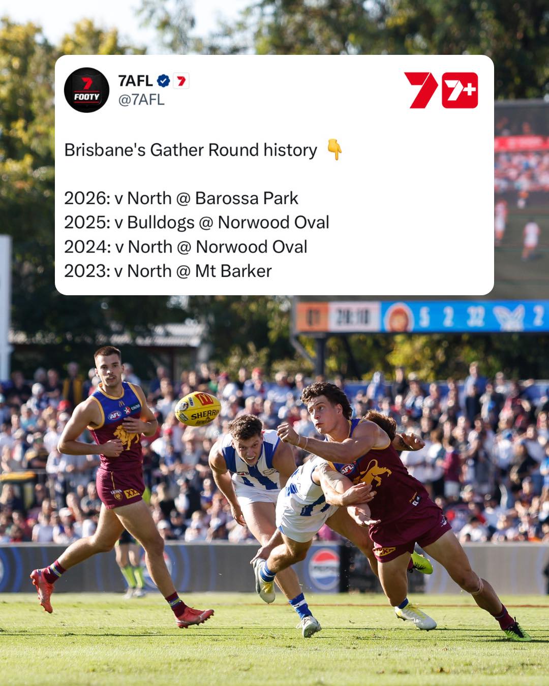 7AFL - The Lions are seeing all the sights of SA 🚌 | Facebook