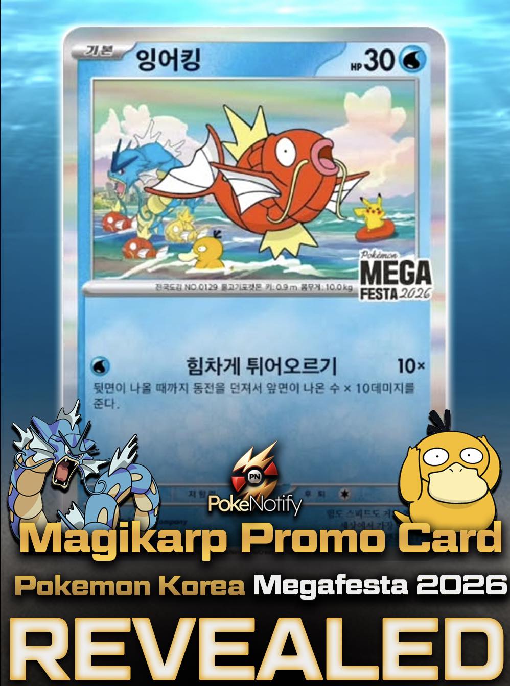 🚨 FIRST LOOK 🚨 Pokemon Korea revealed the Pokémon Megafesta 2026