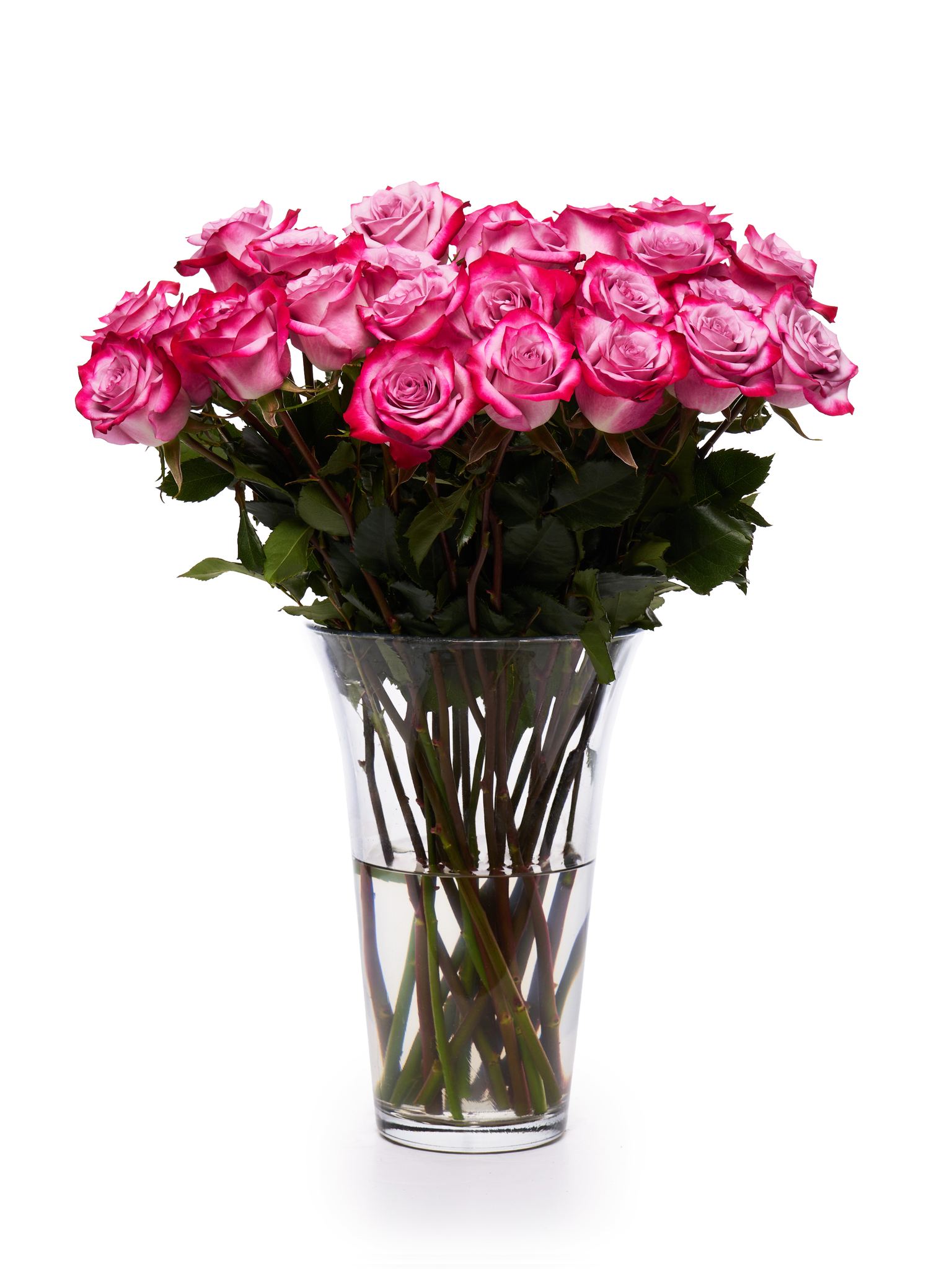 Rio Roses - Rio Roses added a new photo.