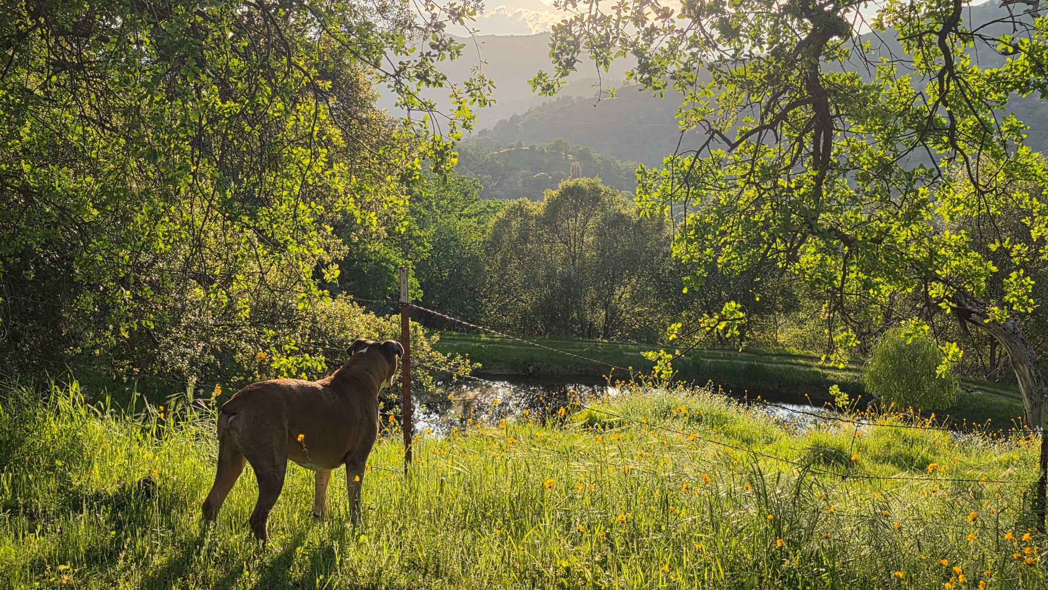 Indian Rock Ranch | Three Rivers CA
