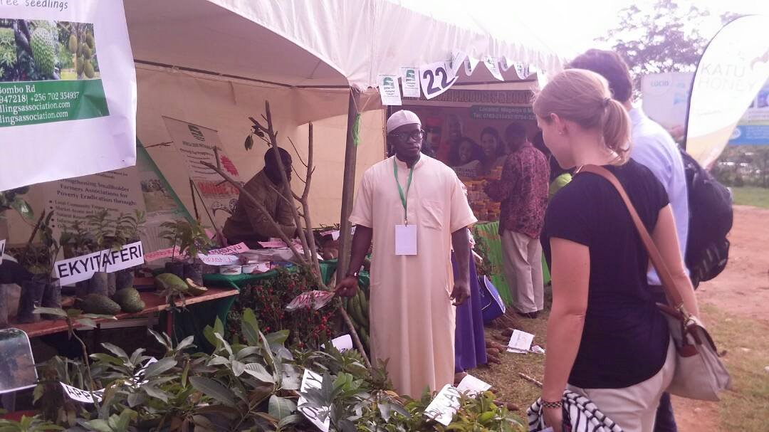 Kawanda Seedlings Association | Kawanda