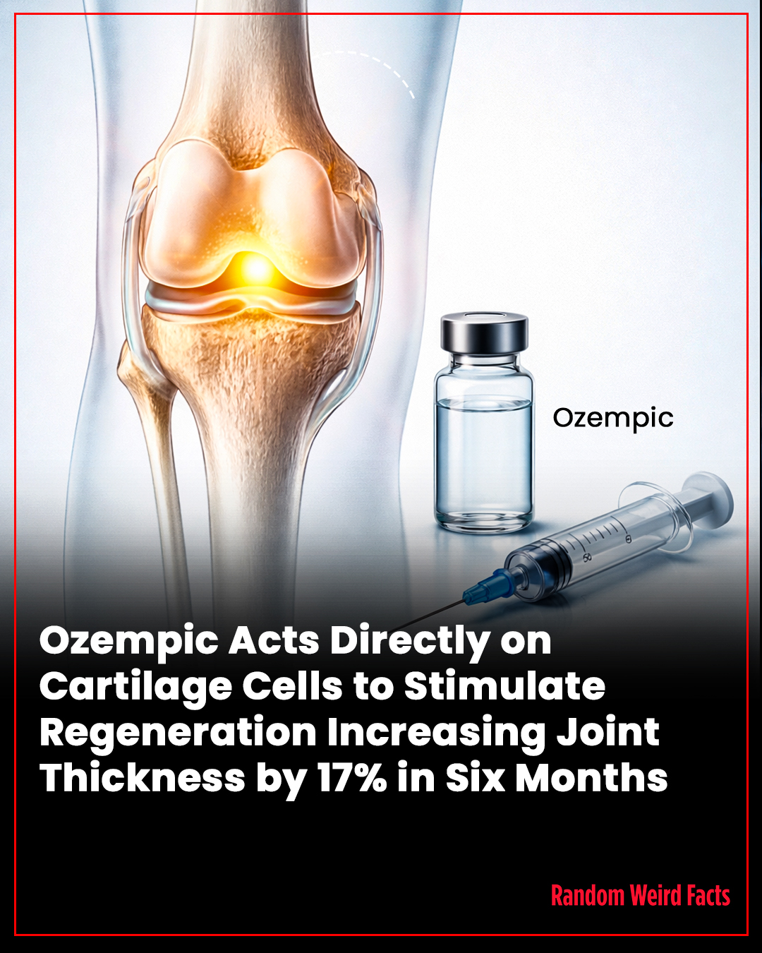 The joint pain relief wasn't just from weight loss. The drug is literally rebuilding cartilage. Researchers discovered semaglutide reprograms cartilage cells to utilize energy differently, shifting the body into repair mode that