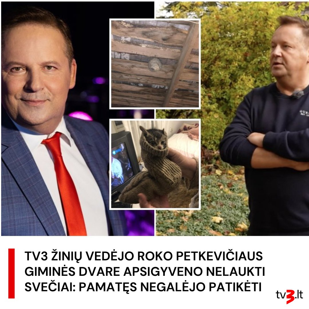 TV3 - Rokas atskleidė, kad ši vasara buvo kupina ne tik lietaus, bet ir ...