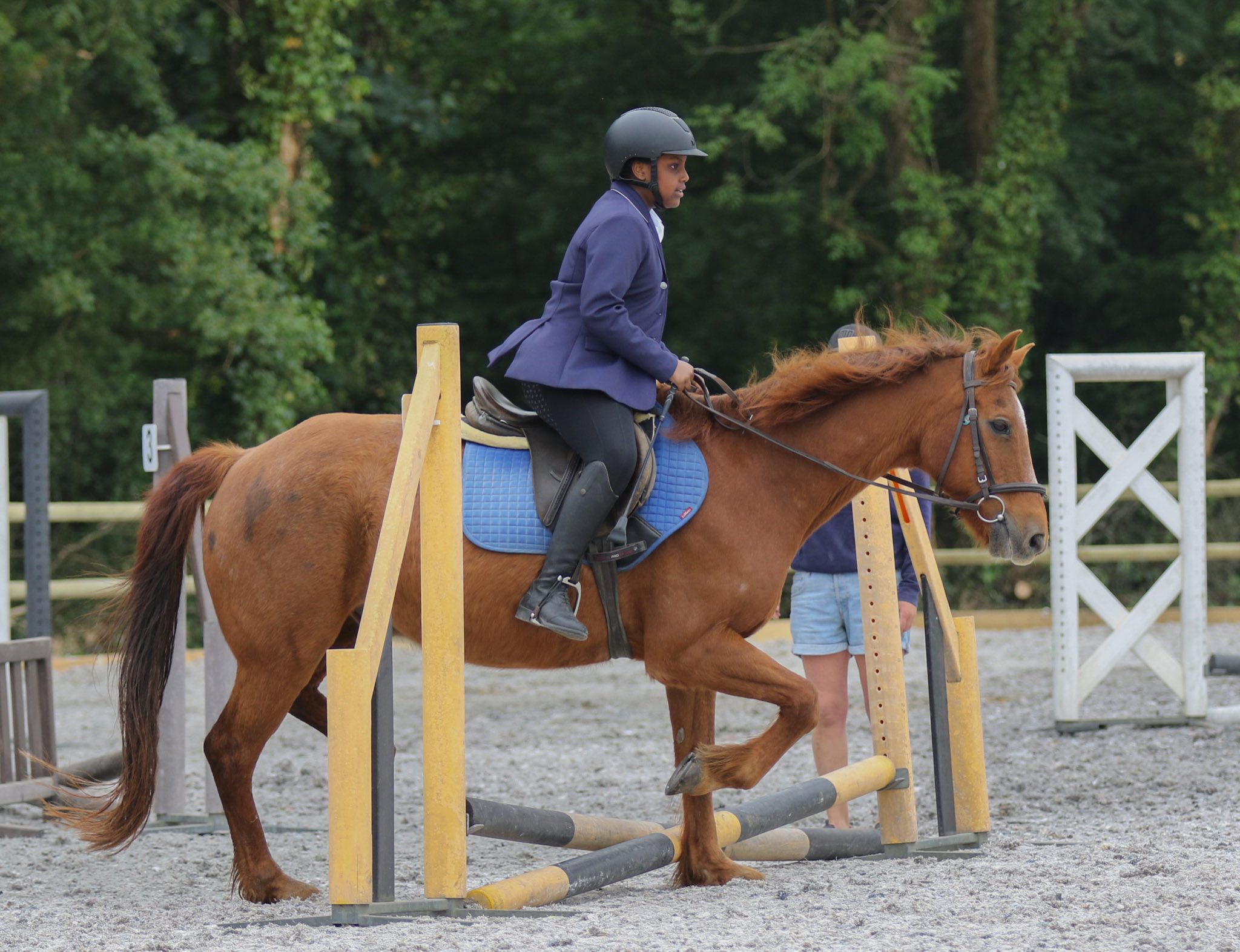 Fairfields Farm Riding School & Livery | Ryde