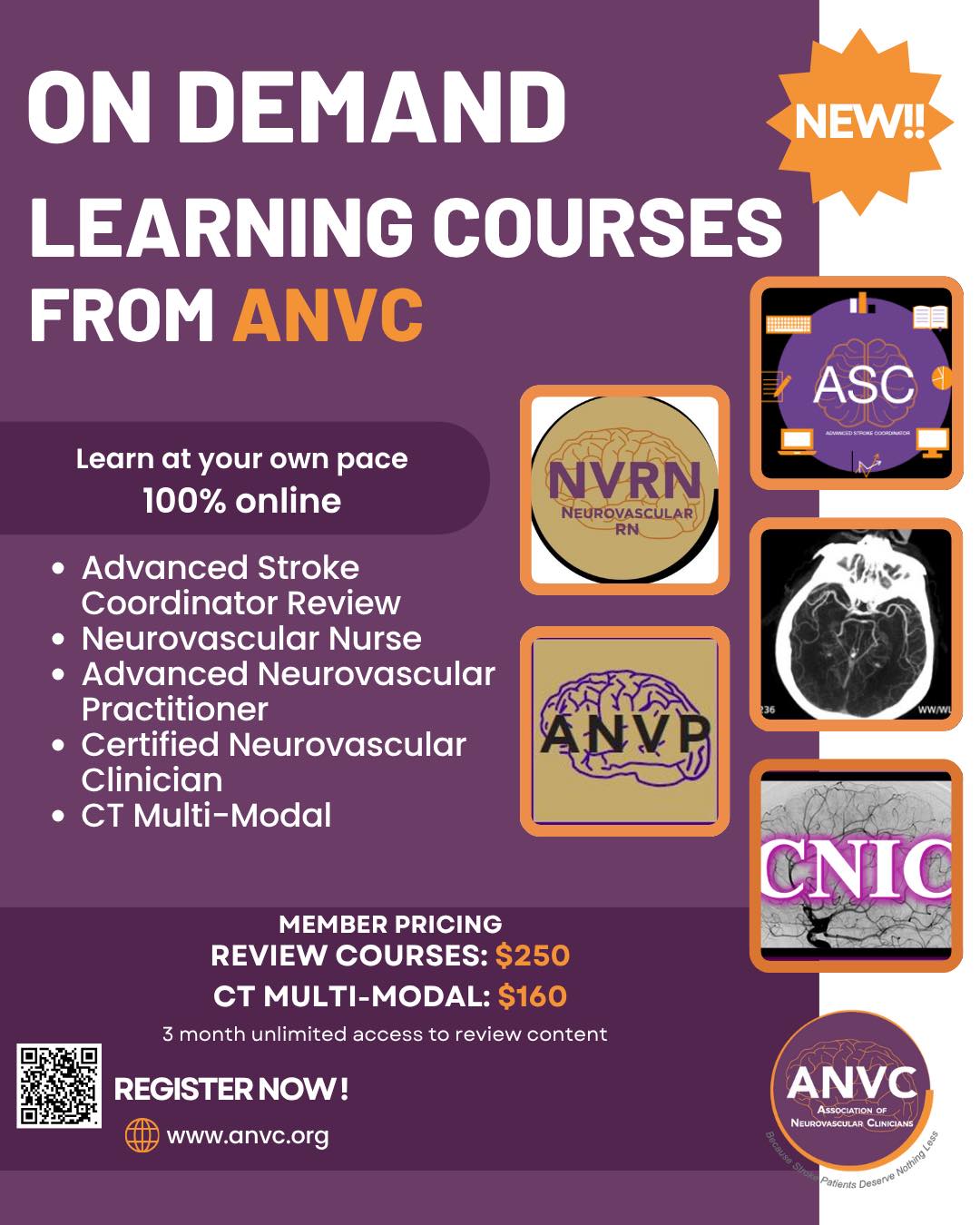 Association - Stroke Clinicians! Are you interested in a self-paced ...