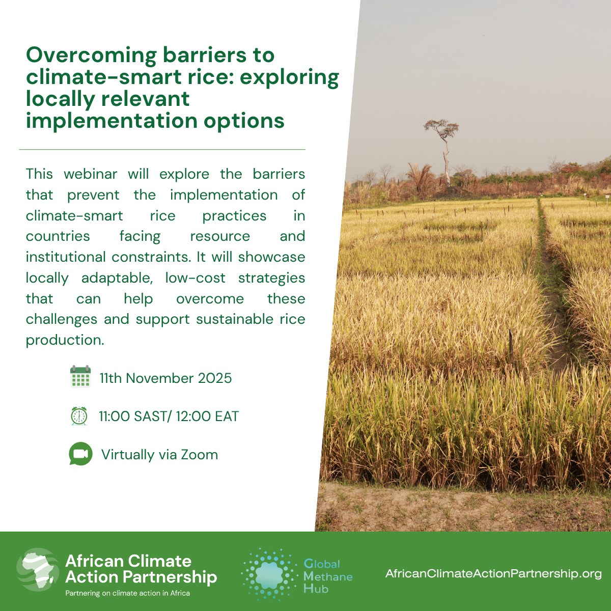 IRRI - 🌾 Join the African Climate Action Partnership... | Facebook