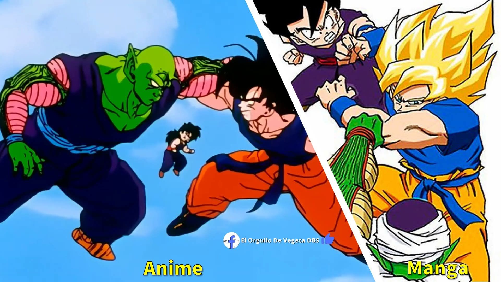 Mientras que en Dragon Ball Z, Goku entrena con Piccolo y Gohan 