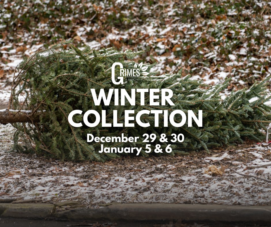 City - If you have leaves hanging around or a live Christmas tree to ...