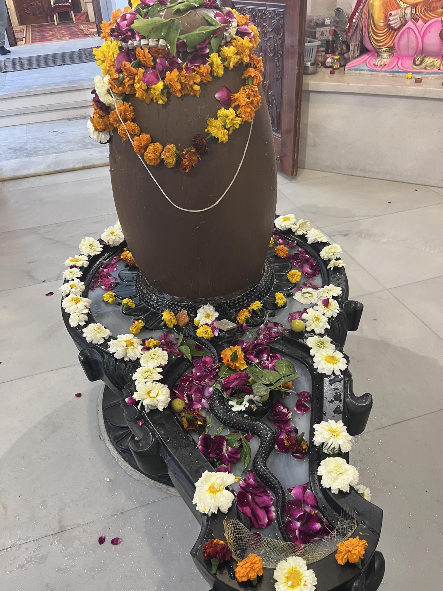 Ashu Menadi Art