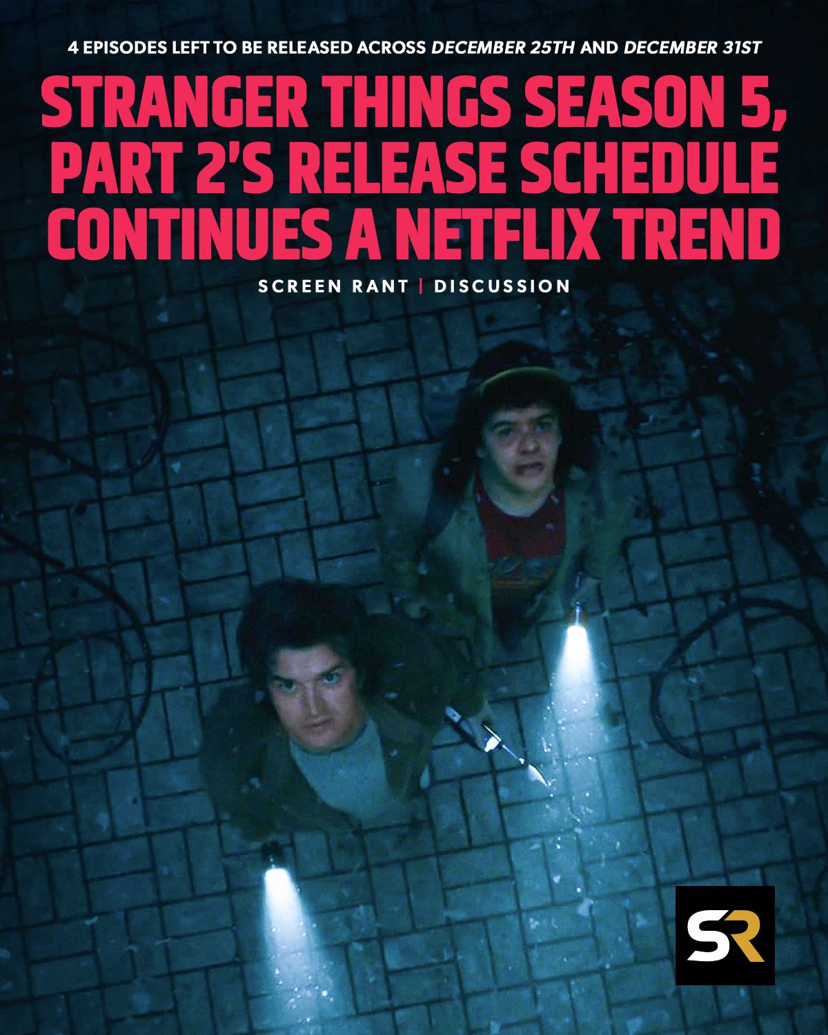 Screen Rant - Netflix is making a risky gamble with the... | Facebook