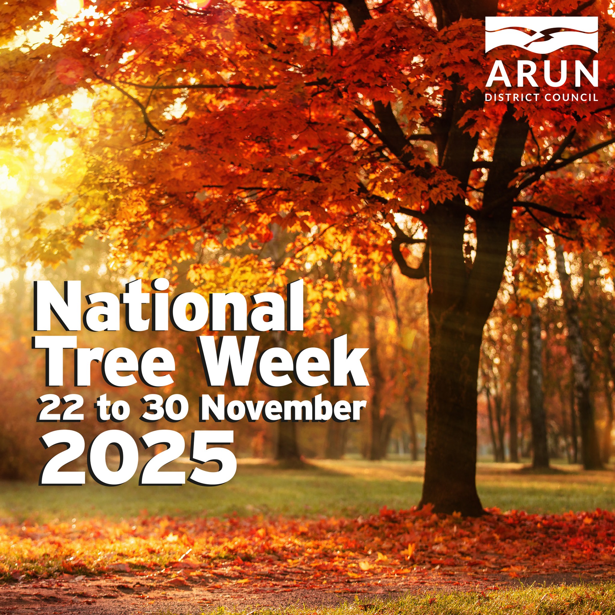 Arun - Today marks the start of National Tree Week. This day brings ...