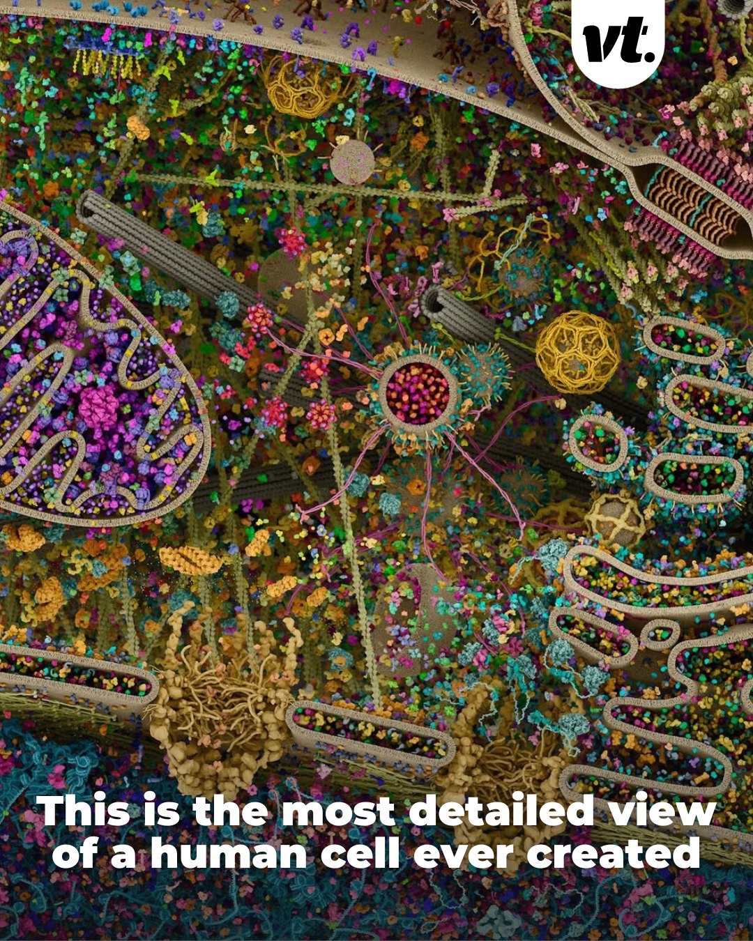 VT - Scientists have produced what is considered one of the most ...