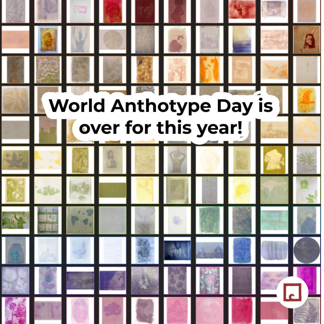 Alternative photographic processes | Anthotypes. 🌿 World Anthotype Day ...