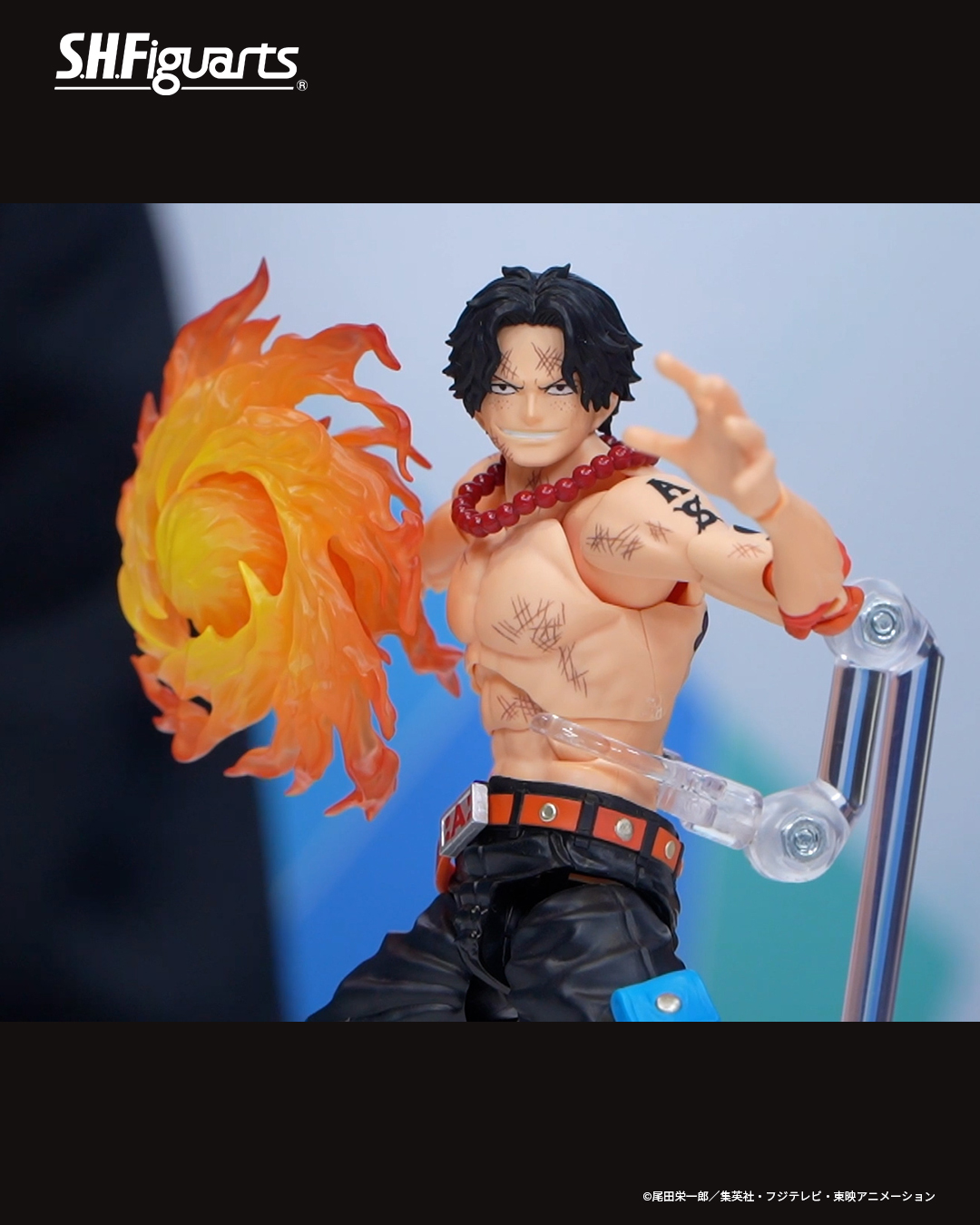 A brand new S.H.Figuarts PORTAGUS.D.ACE -MARINEFORD- is coming 
