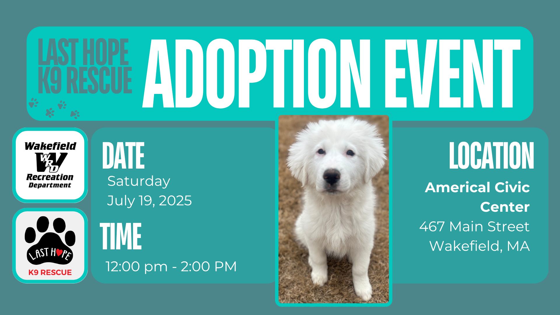 Last Hope K9 Rescue | Boston MA