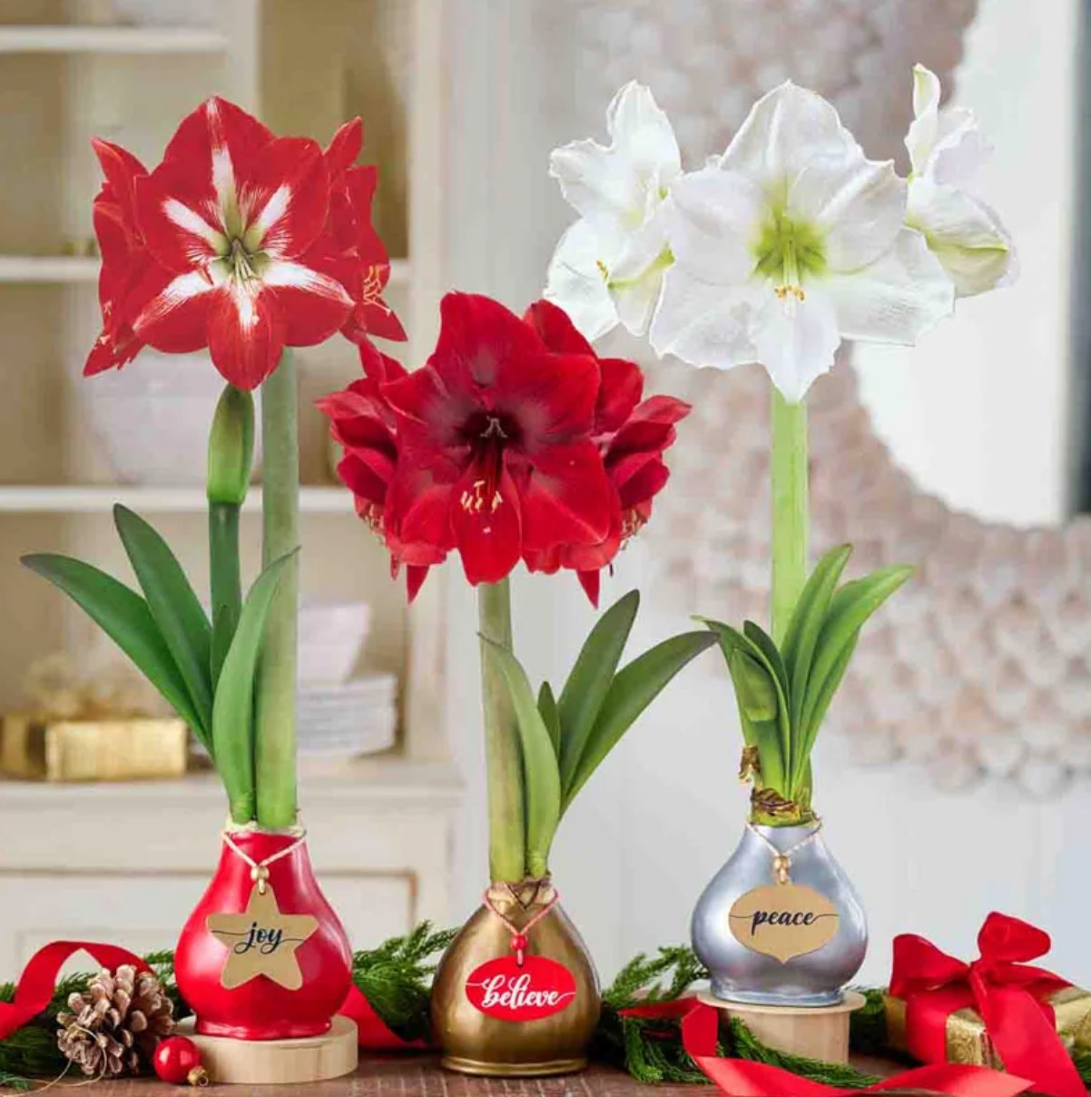 Amaryllis★セール様 まとめ商品 3点 リクエスト