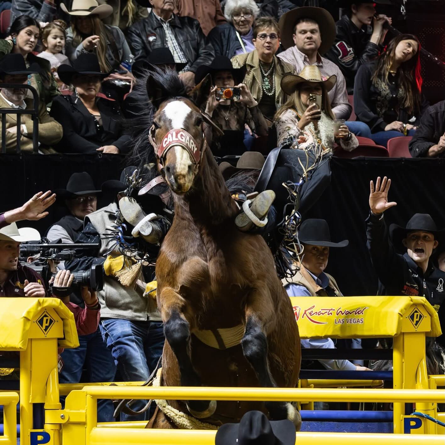 LAS VEGAS, Nevada — Zeke Thurston... - Bronc Riding Nation | Facebook