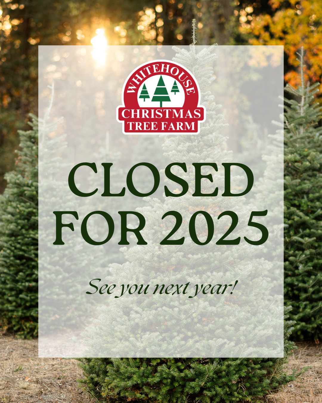 Wheeler Farms - The Whitehouse Christmas Tree Farm is... | Facebook
