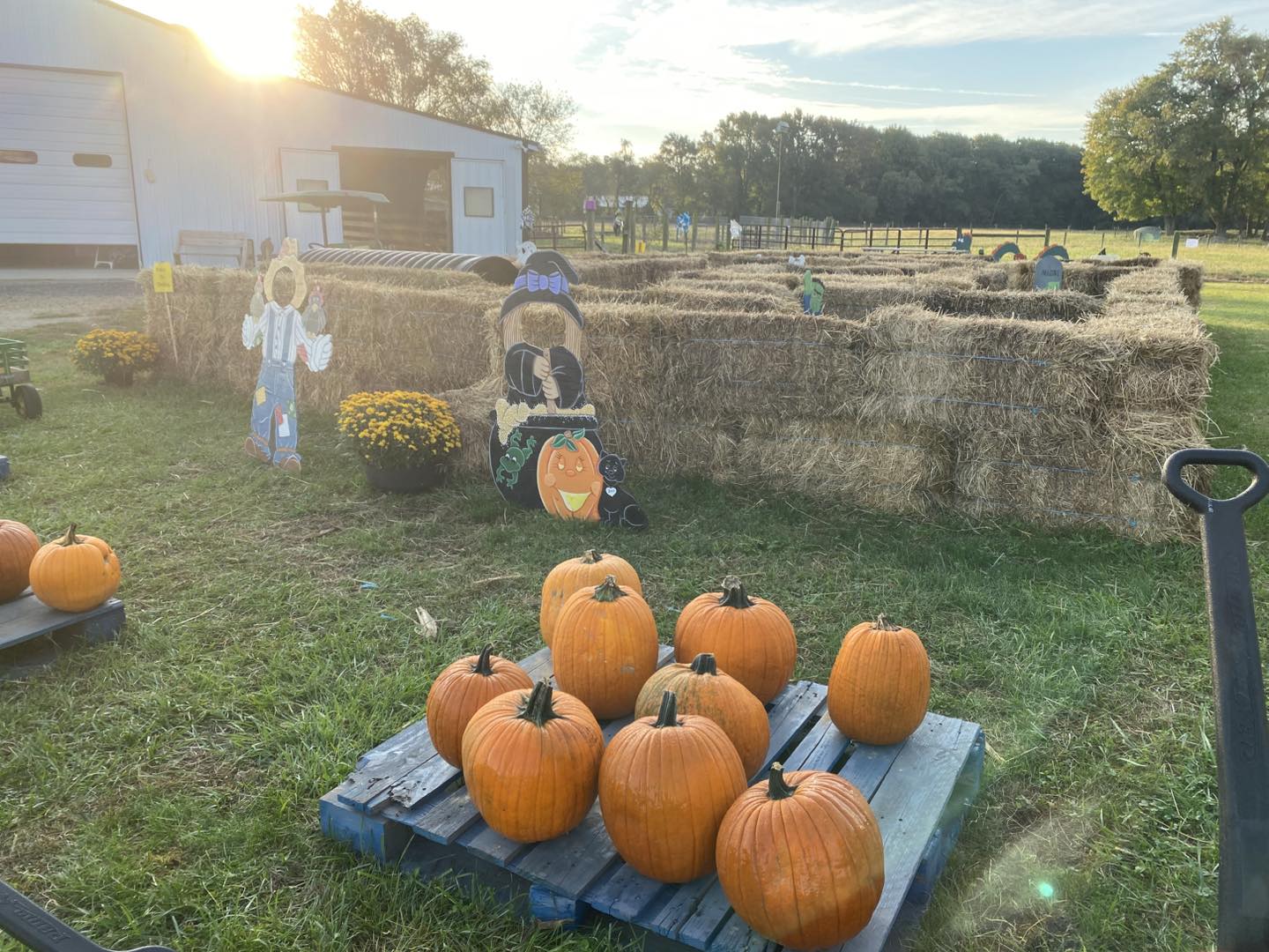 Tommy & Rae's | Lexington Park MD