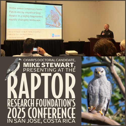 CKWRI's... - Caesar Kleberg Wildlife Research Institute | Facebook