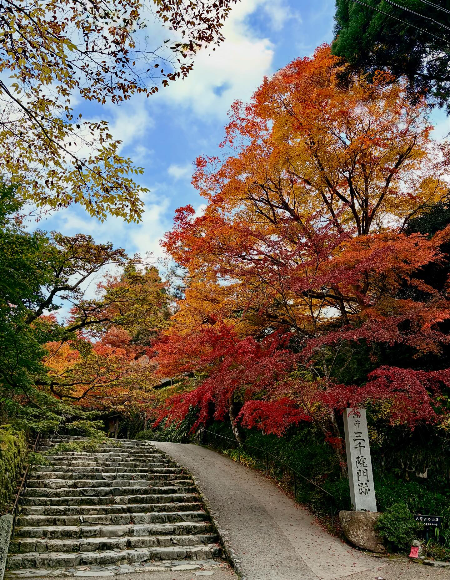 京都大原三千院 - . 2025.11.17 紅葉見頃 です 最初に色づきを見せた門前の石碑周辺では どんどん紅葉が進んでいます #三千院 ...