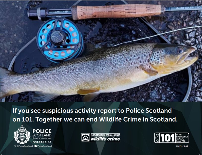 Police - Police are continuing to receive complaints of fishing without ...