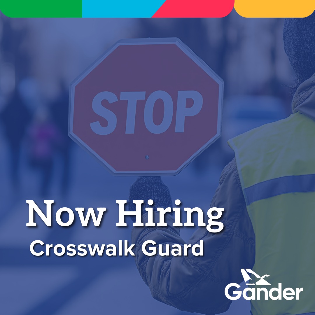 Town of Gander - 📣 Join our team! We're hiring a... | Facebook