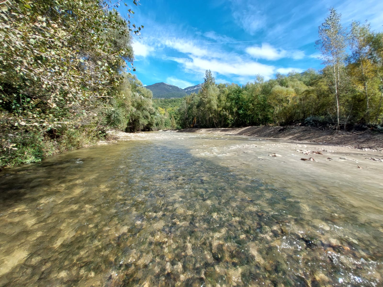 Rewilding Europe added a new photo. - Rewilding Europe