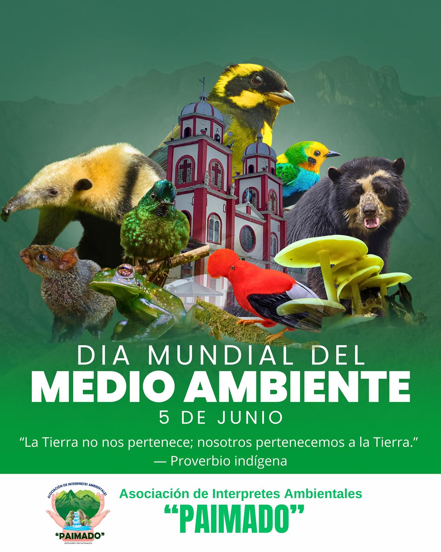 Asopaimado - 🌍 Día Mundial del Medio Ambiente 🌍 📅 5 de junio “La Tierra ...