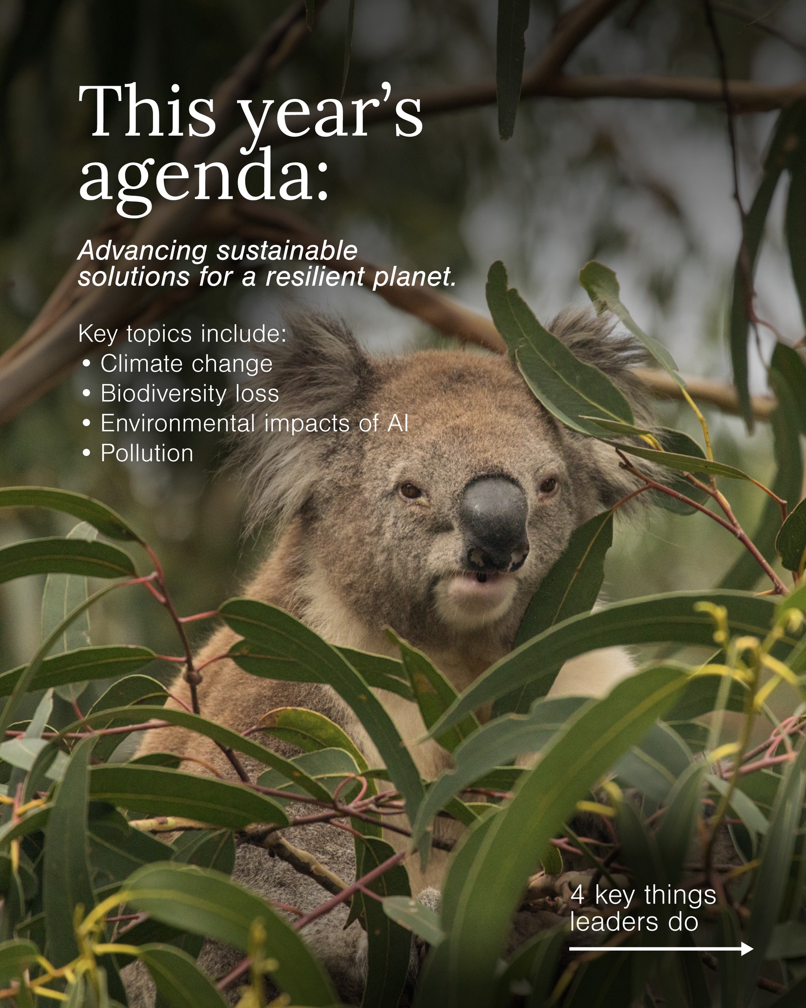 Minderoo Foundation added a new photo. - Minderoo Foundation
