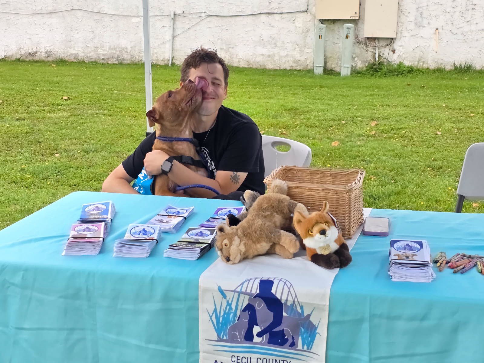 Cecil County Animal... - Cecil County Animal Services