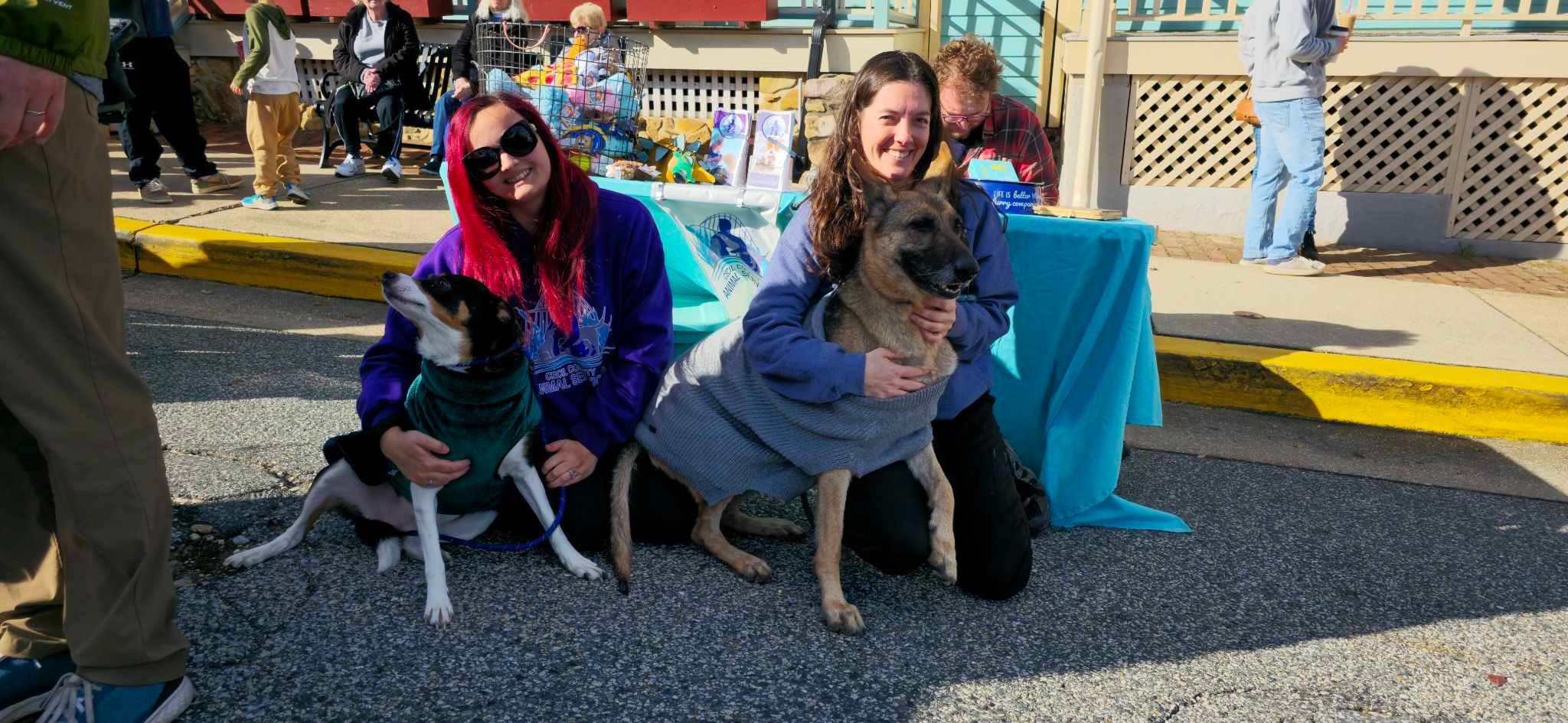 Cecil County Animal... - Cecil County Animal Services