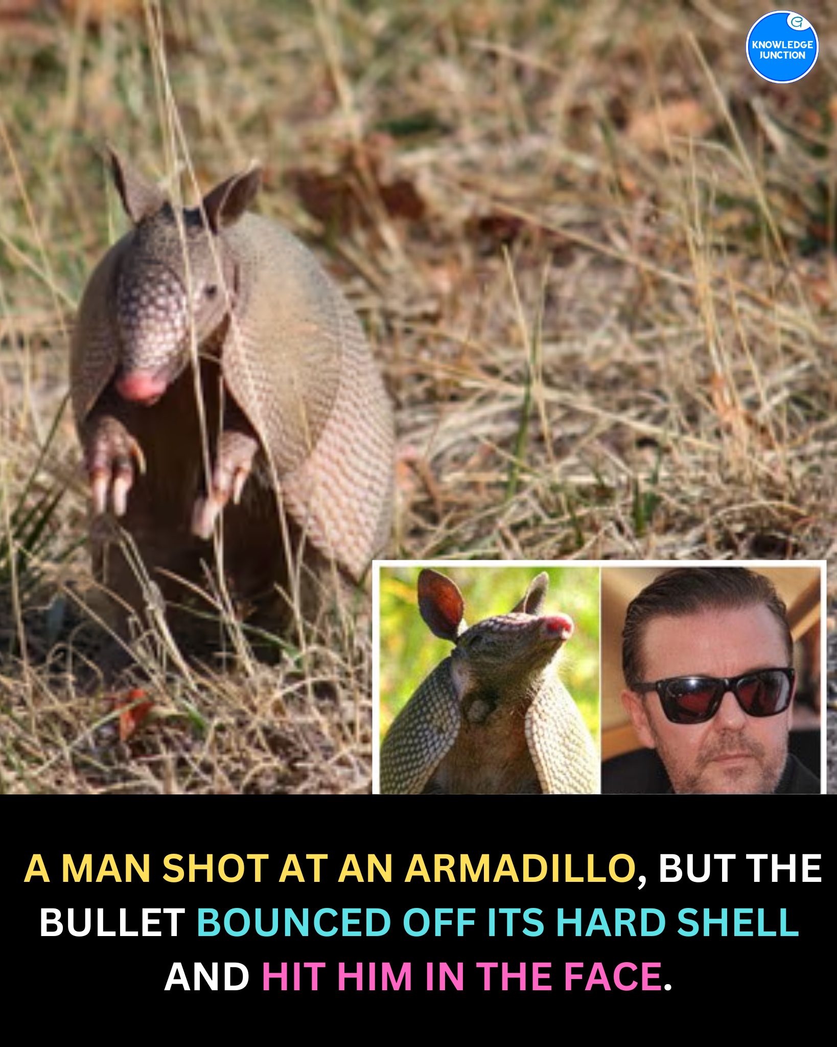 In a strange but true incident from... - Knowledge Junction | Facebook
