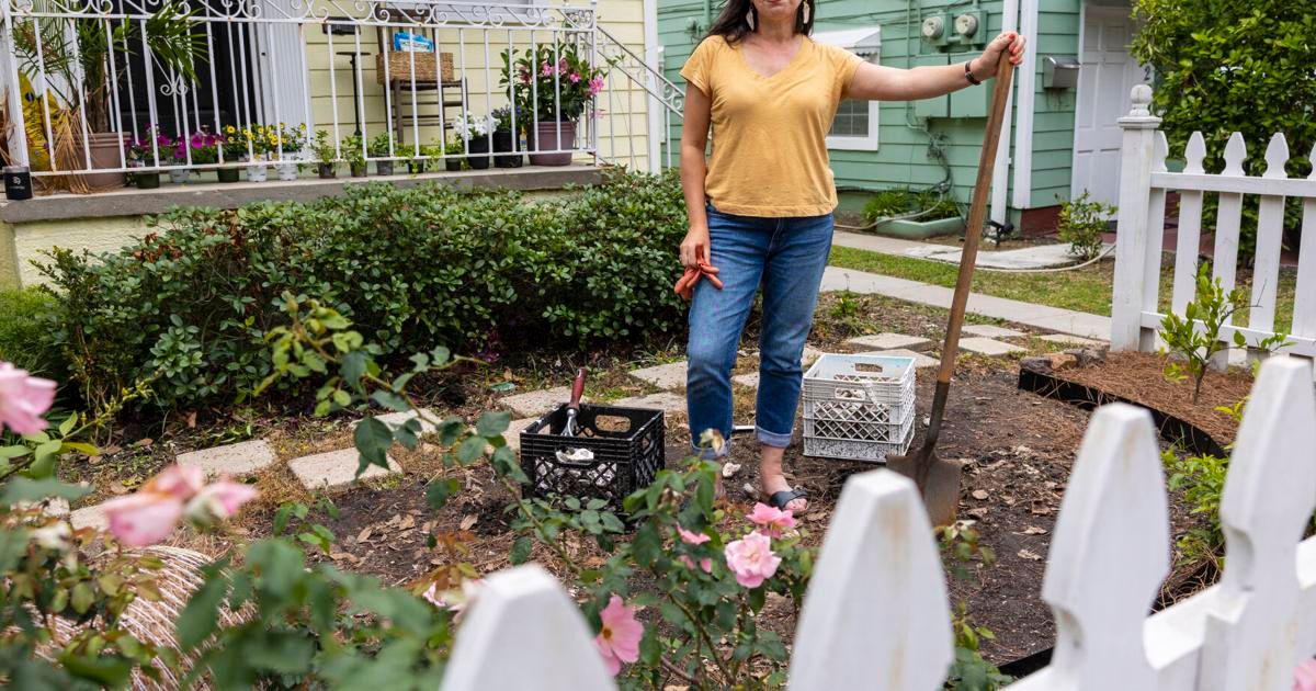 NOLA.com - Why is my garden full of oyster shells? Curious... | Facebook
