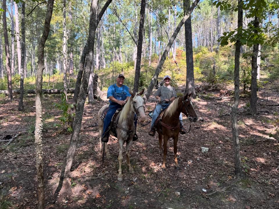 Tennessee - 🍂🍁🐴CONGRATULATIONS to our Fall Trail Riding Photo Contest ...