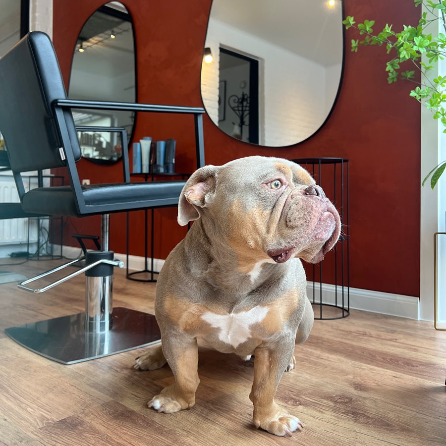Merci.beaucoupe - MEET THE TEAM 👋🏻📸 Hallo favo(g)rietjes, ik ben Grey ...