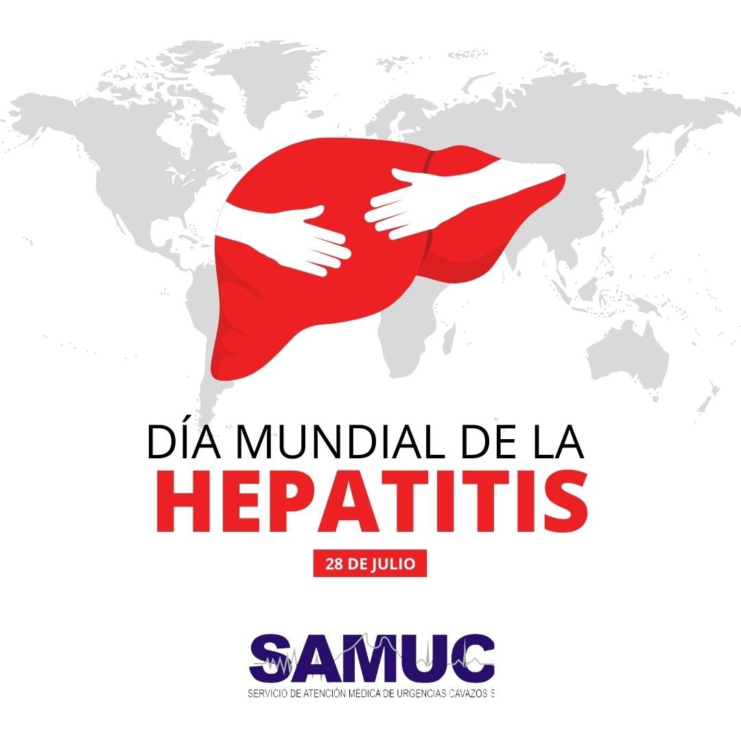 Sabías que el... - SAMUC ambulancias en Veracruz y Monterrey | Facebook