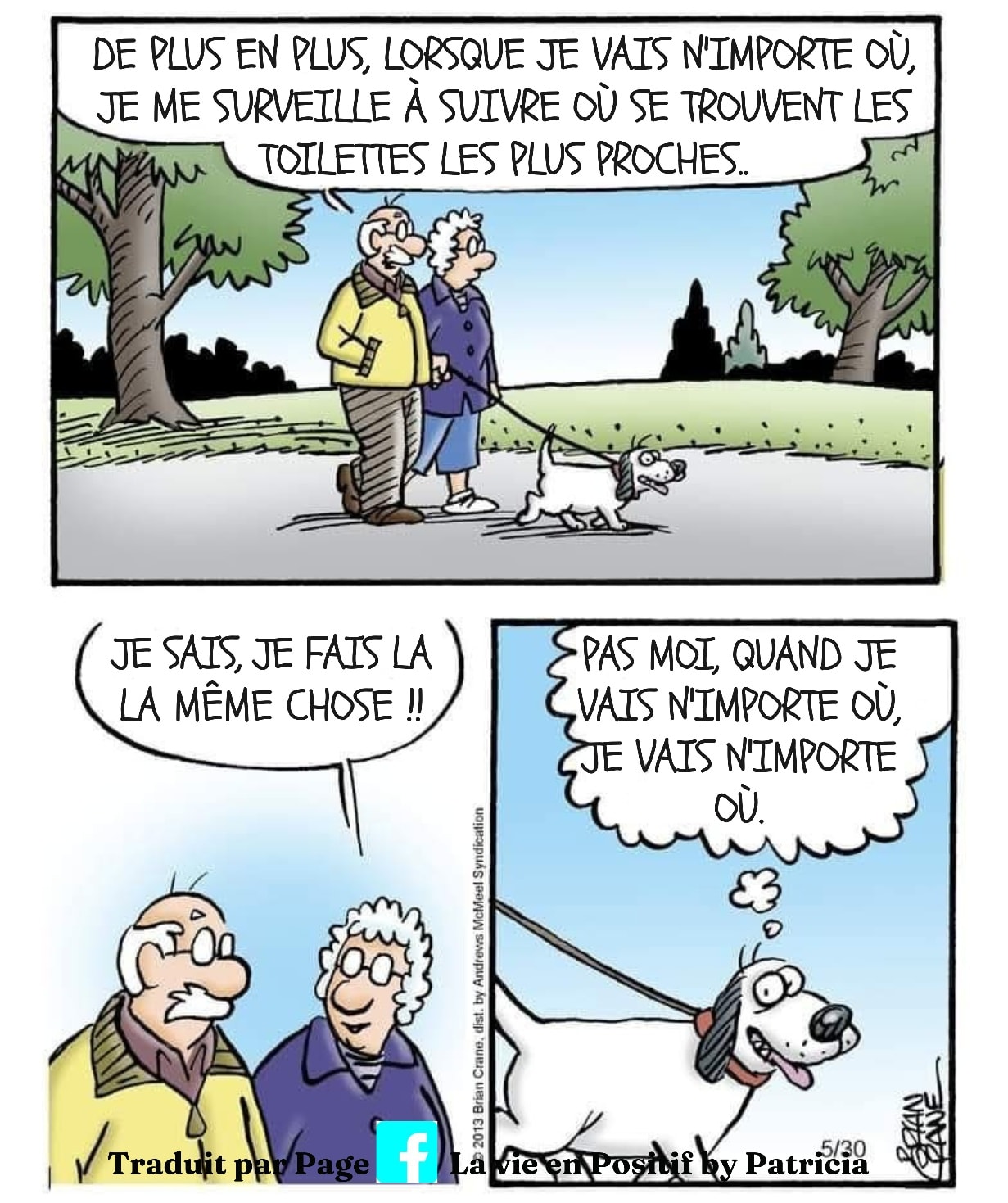 La - Humour de chien ! 🐶 💧Team pipi : l’âge ne fait pas de cadeau ! 🐾 ...