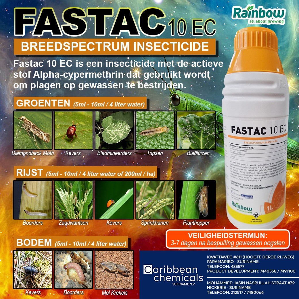 “💥 Fastac is terug!... - Caribbean Chemicals Suriname | Facebook