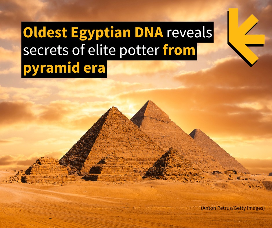 ScienceAlert - For the very first time, scientists have... | Facebook