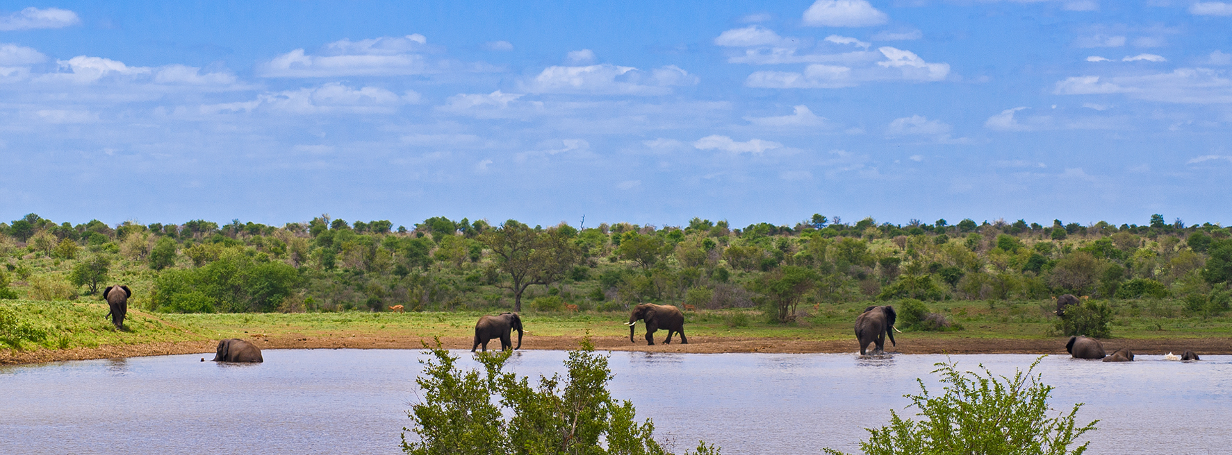 Out - Ngorongoro Crater is a large, unbroken, unflooded volcanic ...