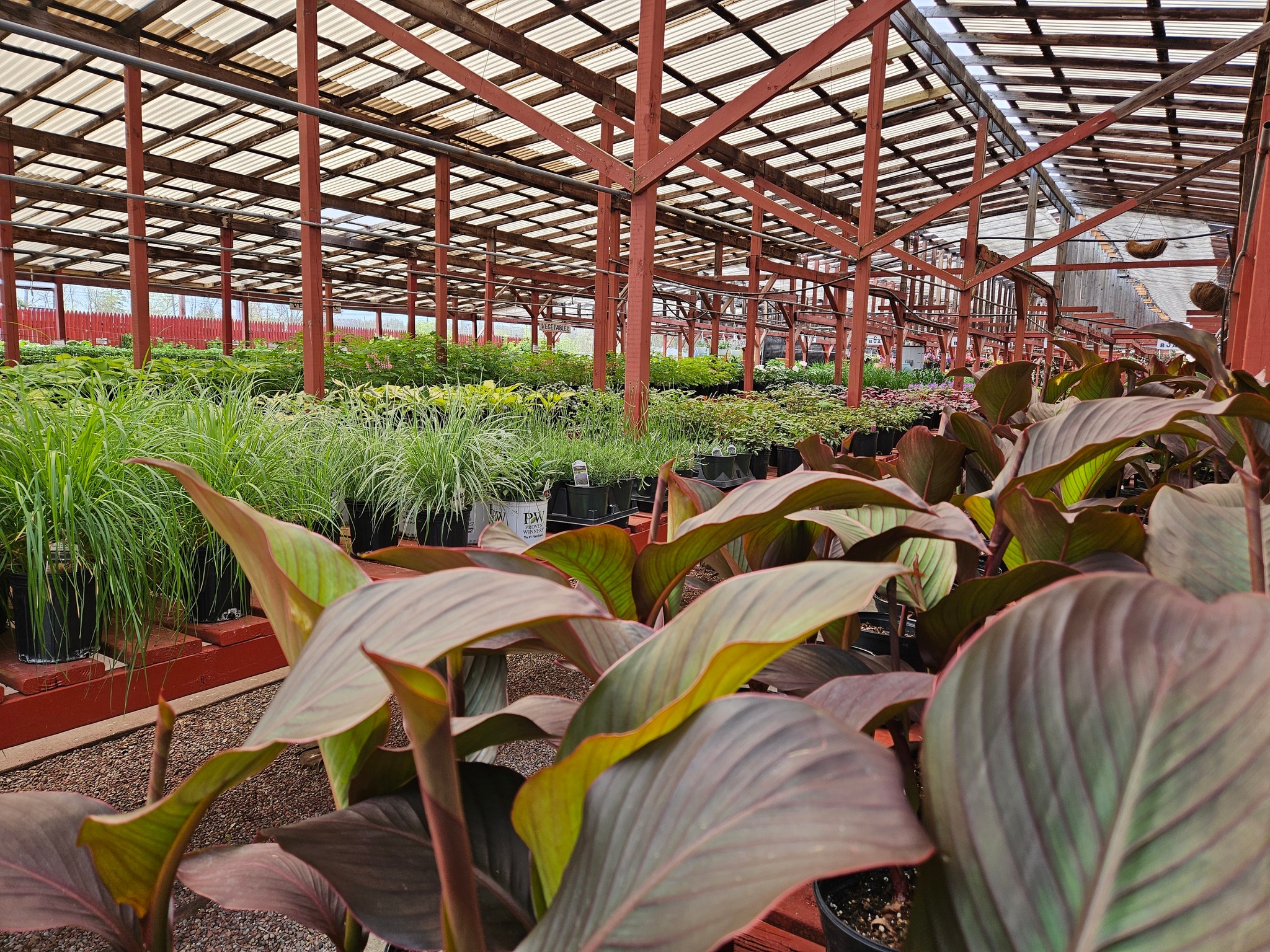 Feed 'N' Seed Inc. | Port Huron MI