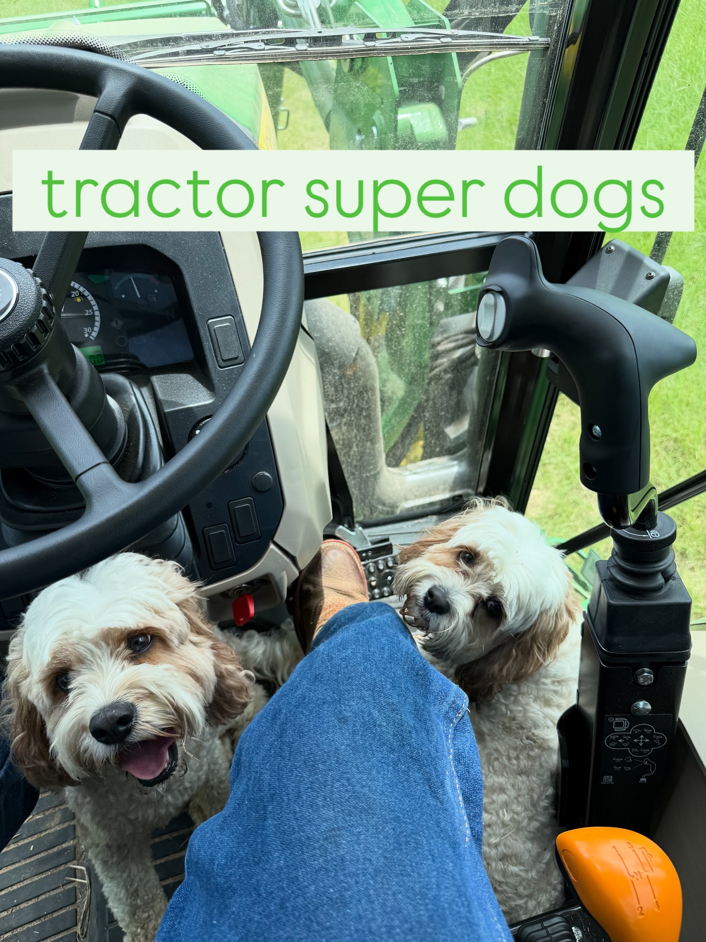 Dr. - My 2 dogs helped with some tractor 🚜 work today | Facebook