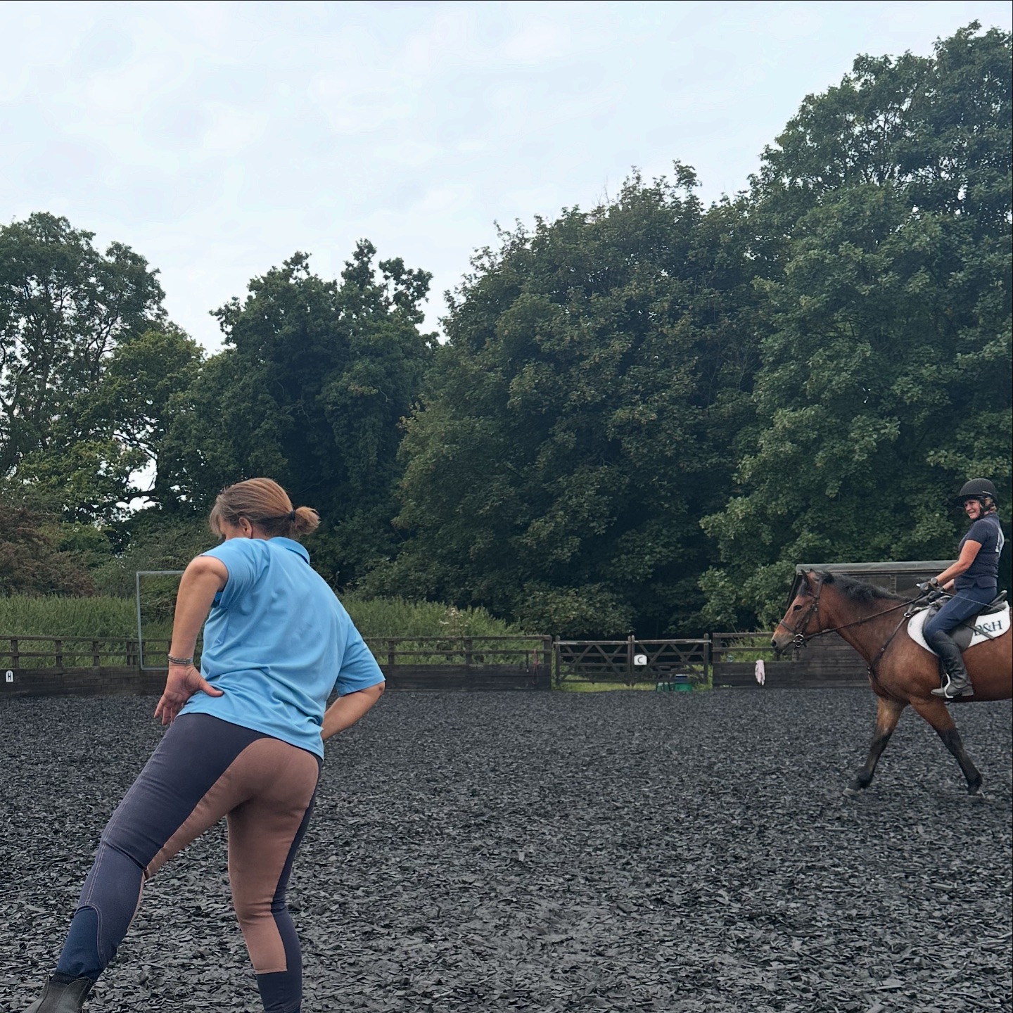 bulby-equestrian-centre-added-a-bulby-equestrian-centre