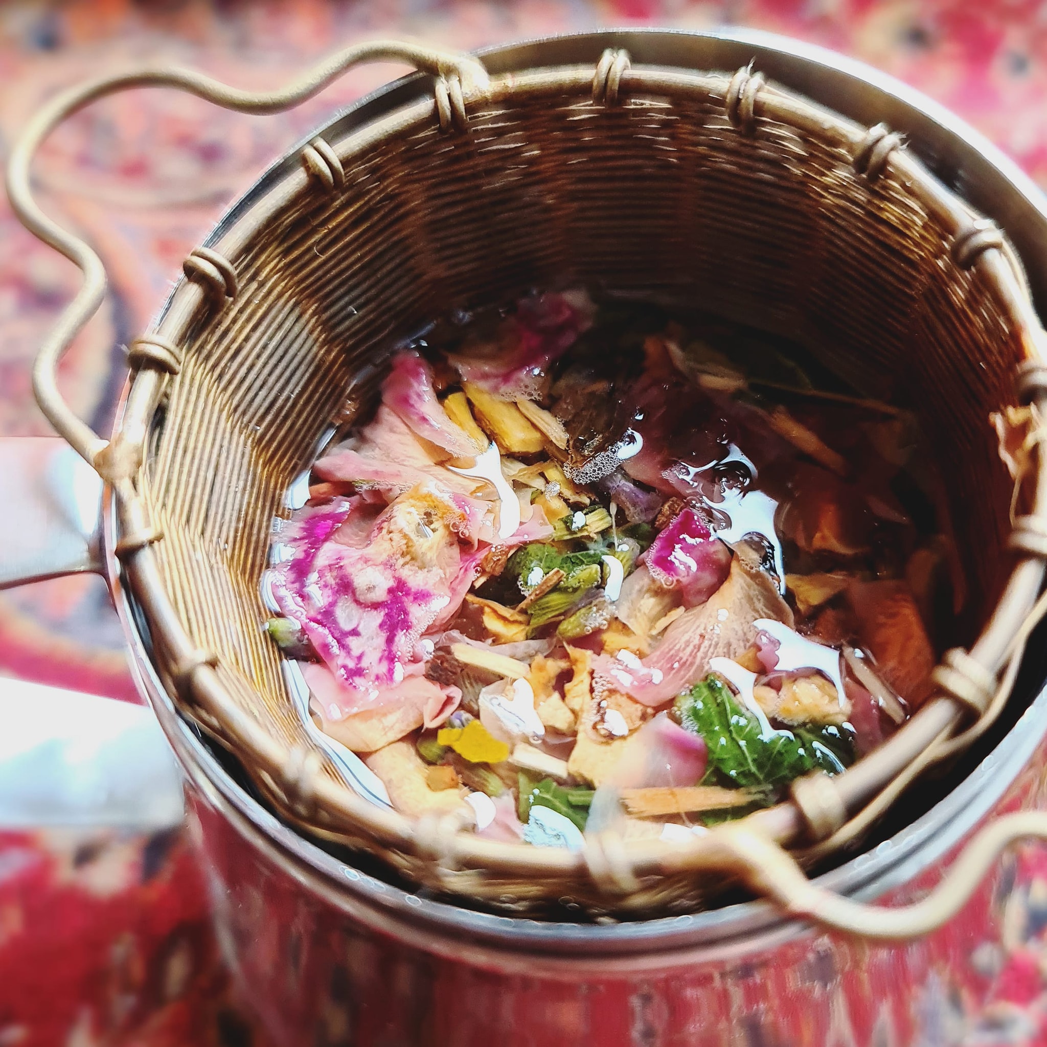 Habitual Tea | Port Macquarie NSW