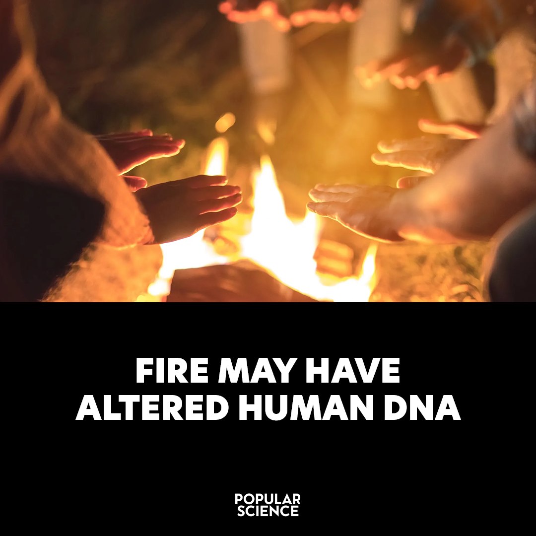 Popular Science - 