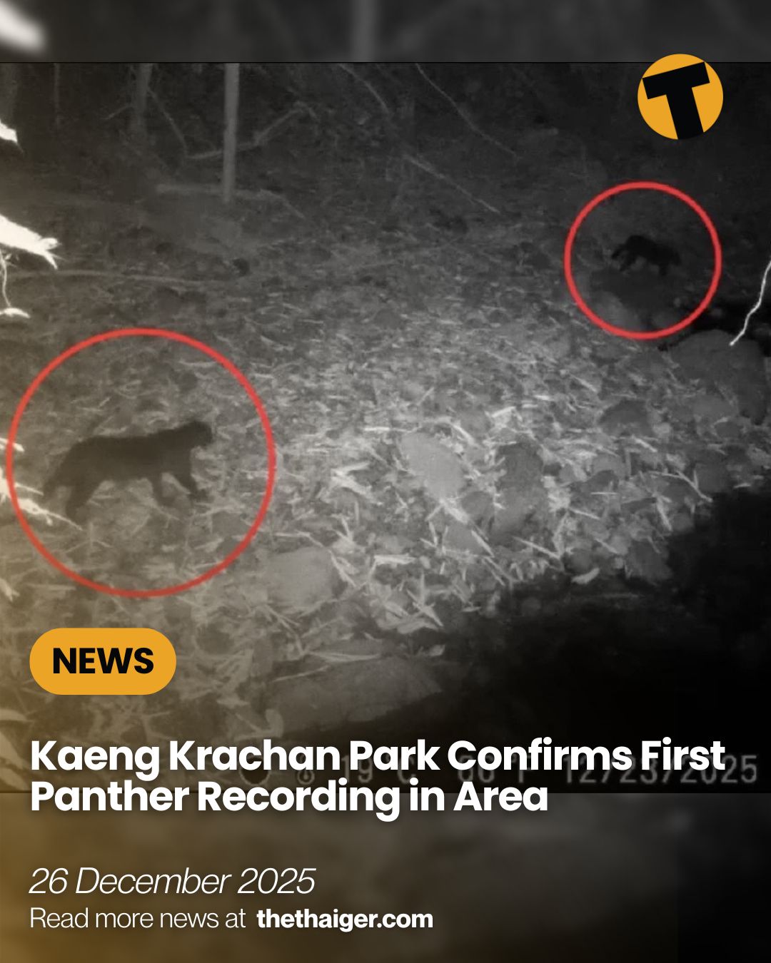 The Thaiger - Kaeng Krachan National Park has released rare footage of ...