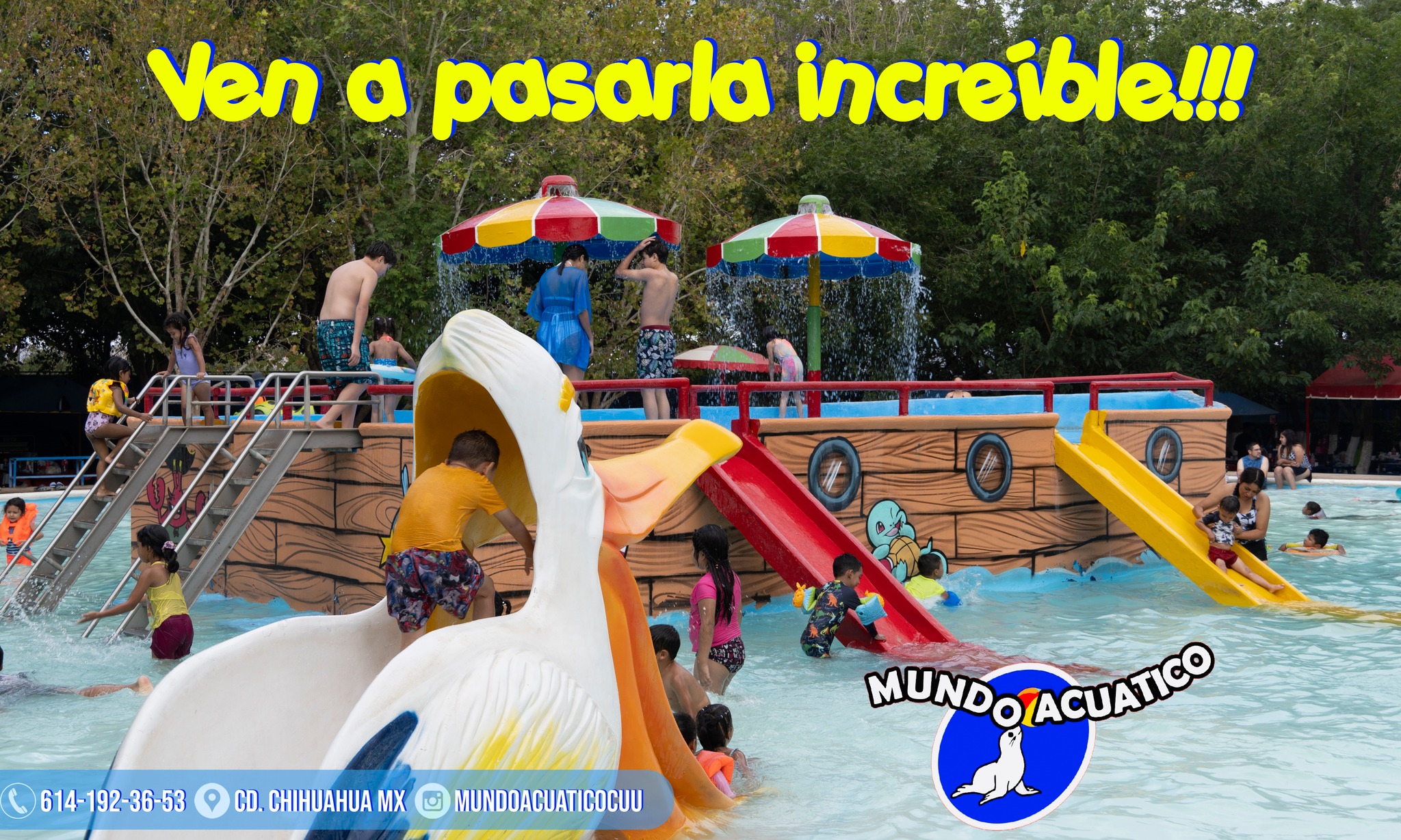 Mundo Acuático - Mundo Acuático added a new photo.