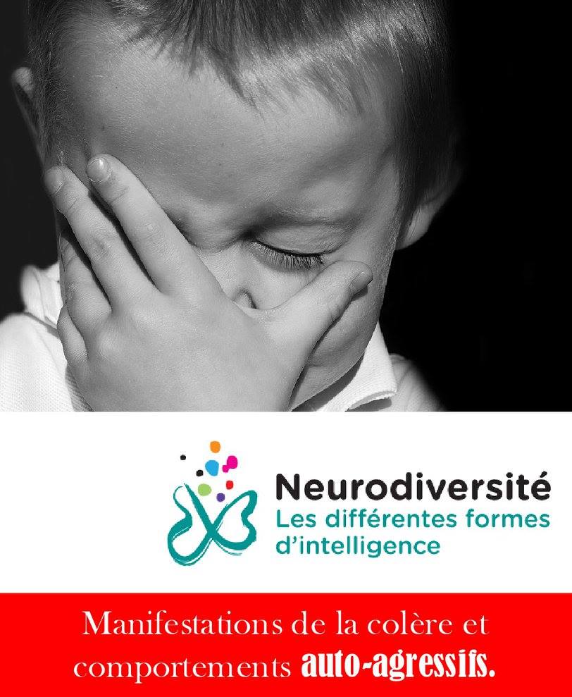 La Neurodiversite L Autisme Et Les Autres Formes D Intelligence On Entend Souvent Que Certains Autistes Ont Des Comportements Auto Agressifs On Percoit Ces Comportements Comme Anormaux Et Comme Un Probleme Typiquement Lie