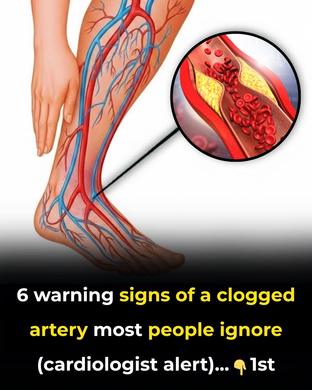 Feedy - Most people miss these 6 early circulation warnings until it’s ...